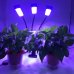 PROFI LED GROW trojramenná lampa  na všetky rastliny (zabudovaný časovač a stmievač), červená-modrá-sunlight (20W)